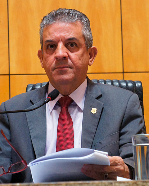 Delegado Danilo Bahiense