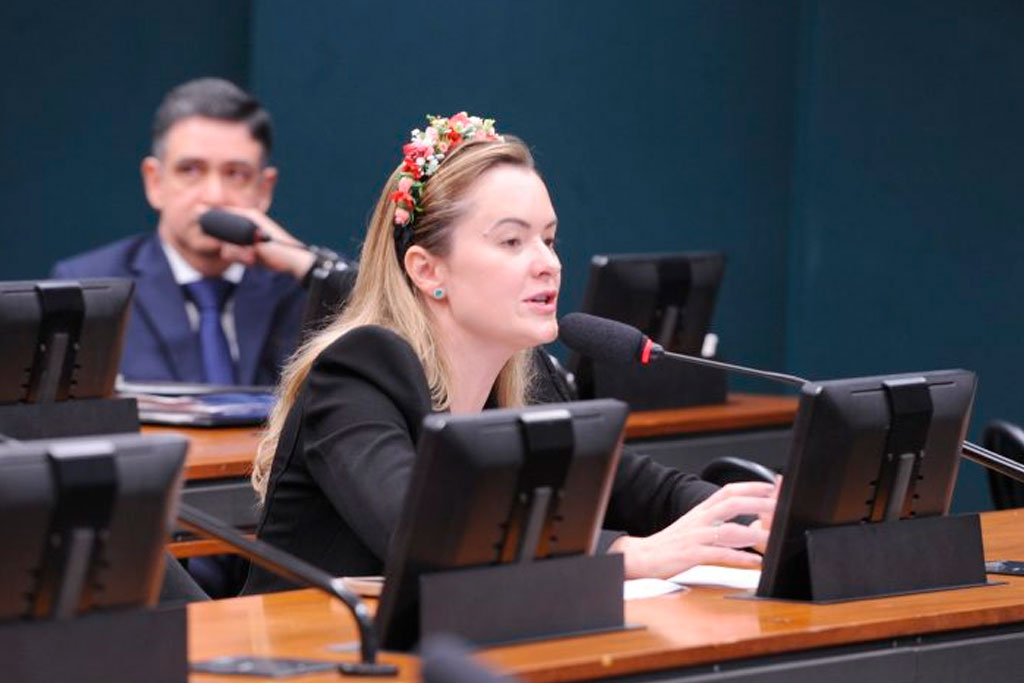 Deputada Julia Zanatta relata projeto aprovado que estabelece diagnóstico precoce do autismo no SUS